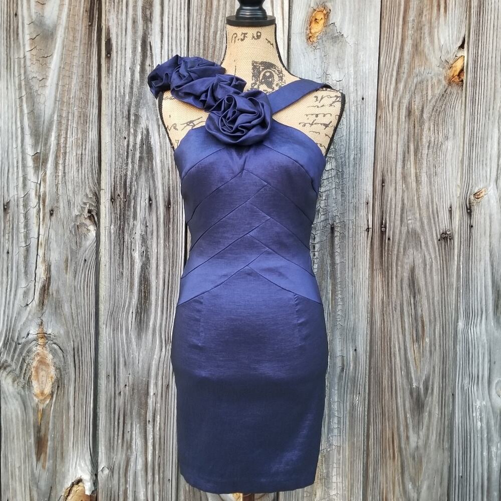 Ruffle Shoulder Cocktail Dress Cache Size 2 Sleeveless Blue Stretch Formal Rose